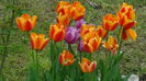 2014-04-19si iar ploaie
