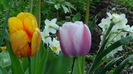 2014-04-19si tot ploua