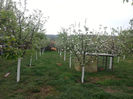 20140418_132649