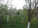 20140418_132703