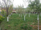 20140418_132818