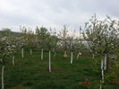 20140418_132848