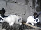IMG_20140420_104624