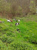 20140420_152722
