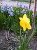 DSCF0269