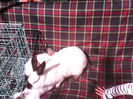 IMG_20140421_105621