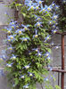 DSC03284