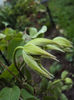 DSC03229