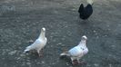 WP_20140421_12_05_27_Pro