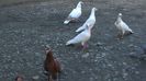 WP_20140421_12_07_56_Pro