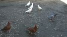 WP_20140421_12_08_10_Pro