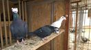 WP_20140409_13_07_19_Pro