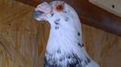 WP_20140409_13_09_07_Pro