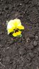 20140416_143326