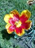 DOC POZE 062