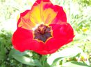 DSCN4697