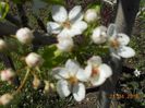 DSCN4701