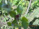DSCN4702