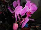 DSCN4664