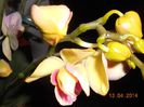 DSCN4668