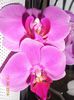 DSCN4674