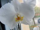 DSCN4676
