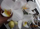DSCN4678
