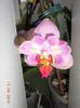 DSCN4681