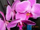 DSCN4722