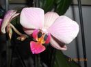 DSCN4726