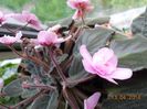 DSCN4687