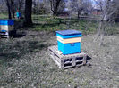 IMG_20140421_114359