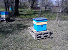 IMG_20140421_114401