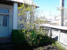 IMG_20140421_141533