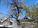 IMG_20140421_141543