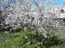 IMG_20140421_141634