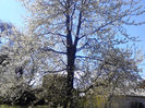 IMG_20140421_141728