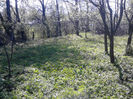 IMG_20140421_141829