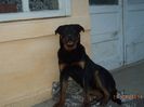 billy 1an