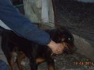 DSC00863