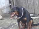 billy 1an