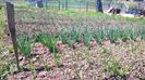 WP_20140421_046