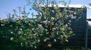 WP_20140421_047