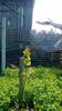 WP_20140421_049