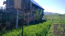 WP_20140421_050