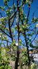 WP_20140421_057