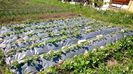 WP_20140421_043