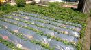 WP_20140421_044