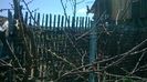 WP_20140421_051