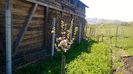 WP_20140421_052